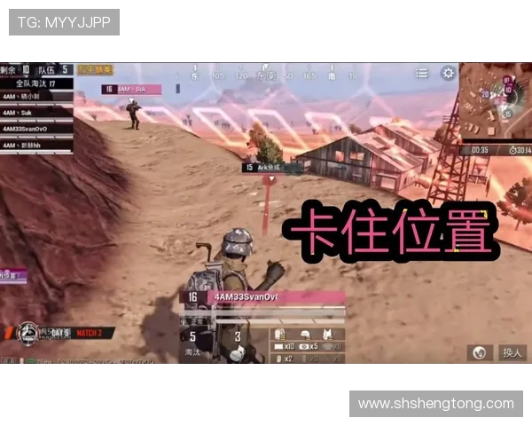 和平精英战术排行榜最新发布WE战队荣登第八名引发热议