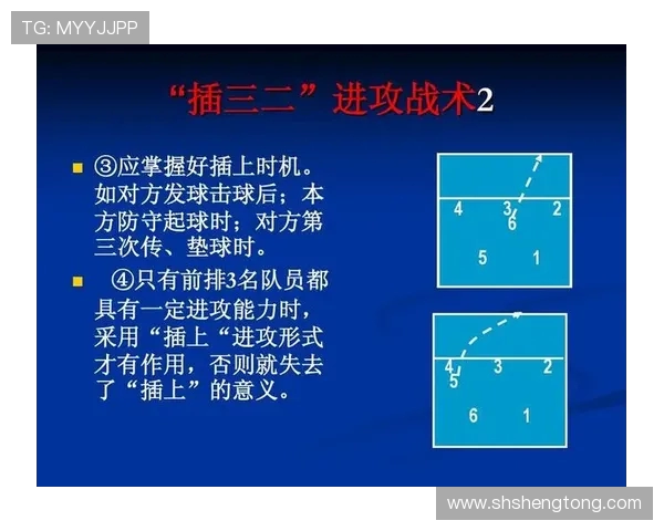 排球盛宴：深入了解西安排球队的战术思维与团队精神