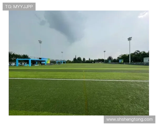 西安飞盘队的耐力挑战与成长之路探讨