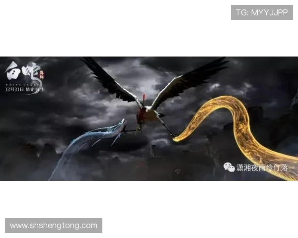 一龙与阿听的巅峰对决：武道精神与竞技魅力的完美碰撞