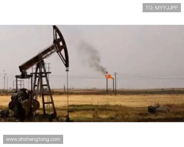 东方石油与昆卡激战正酣精彩直播全程回顾与分析